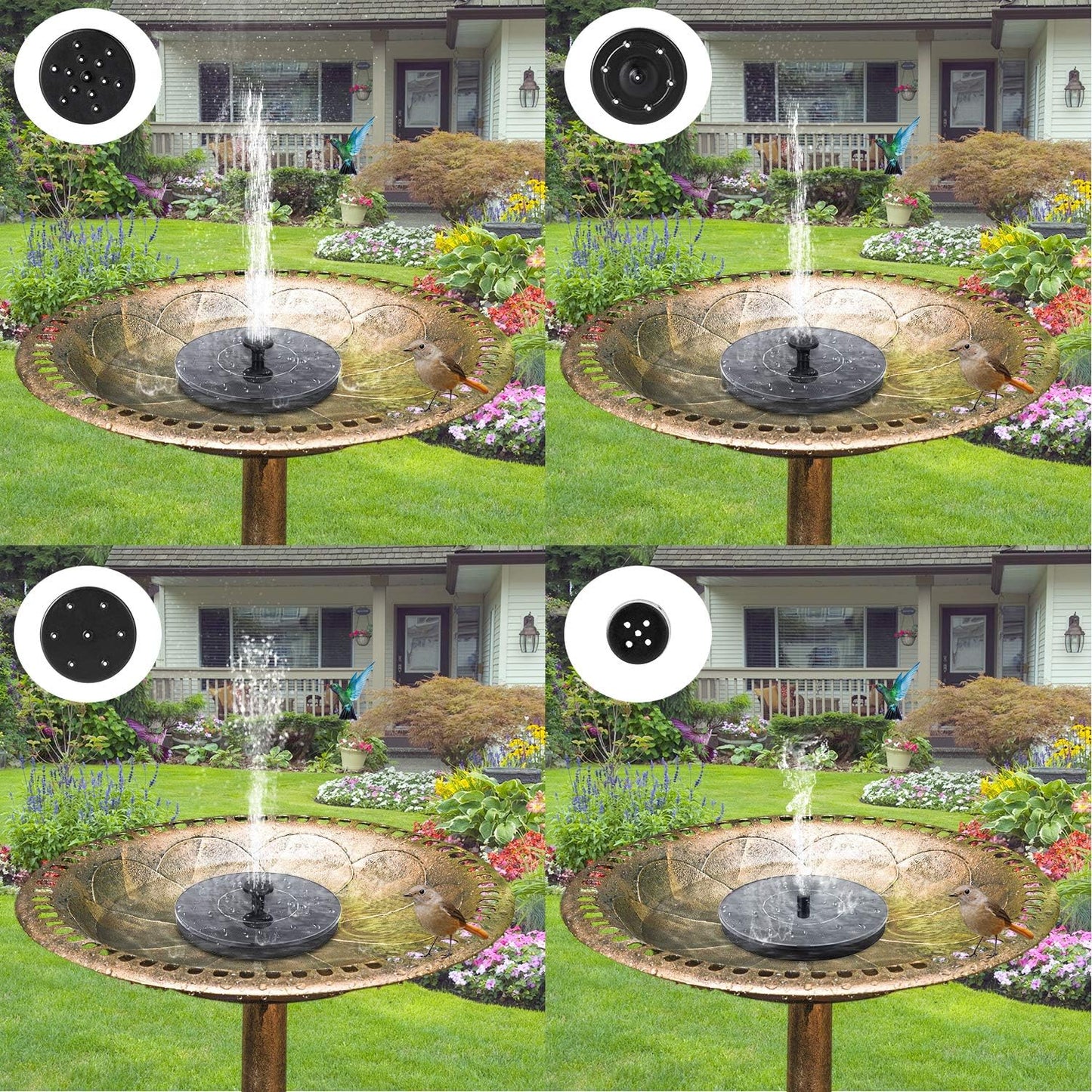 Solar Water Fountain